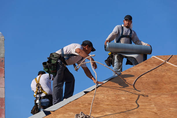 Best Roof Gutter Cleaning  in Altamont, TN